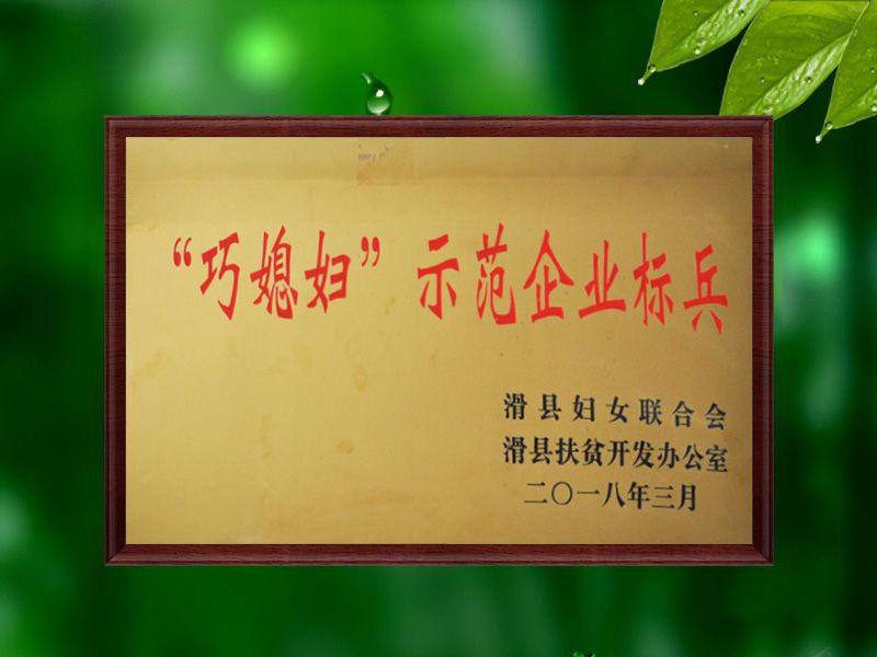 巧媳婦示范企業(yè)標(biāo)兵